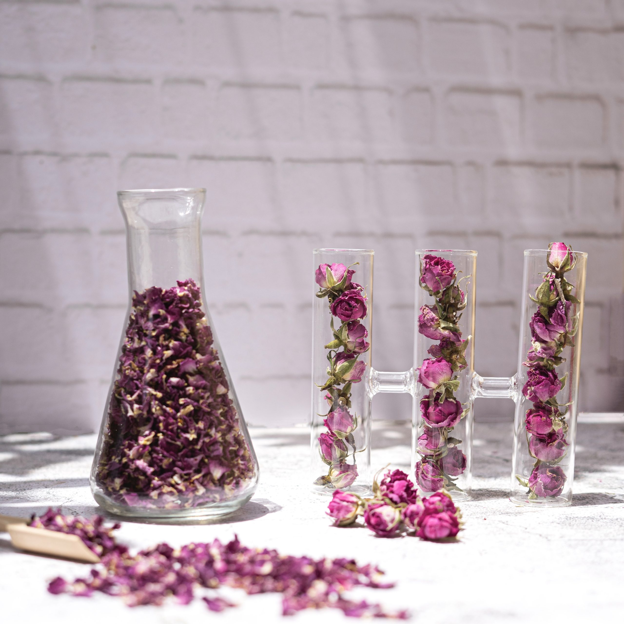 537EEFFE-FE93-42CB-BE88-BC31A1B85DAA_1_201_a