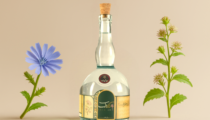 IMG_20250824_020838_851